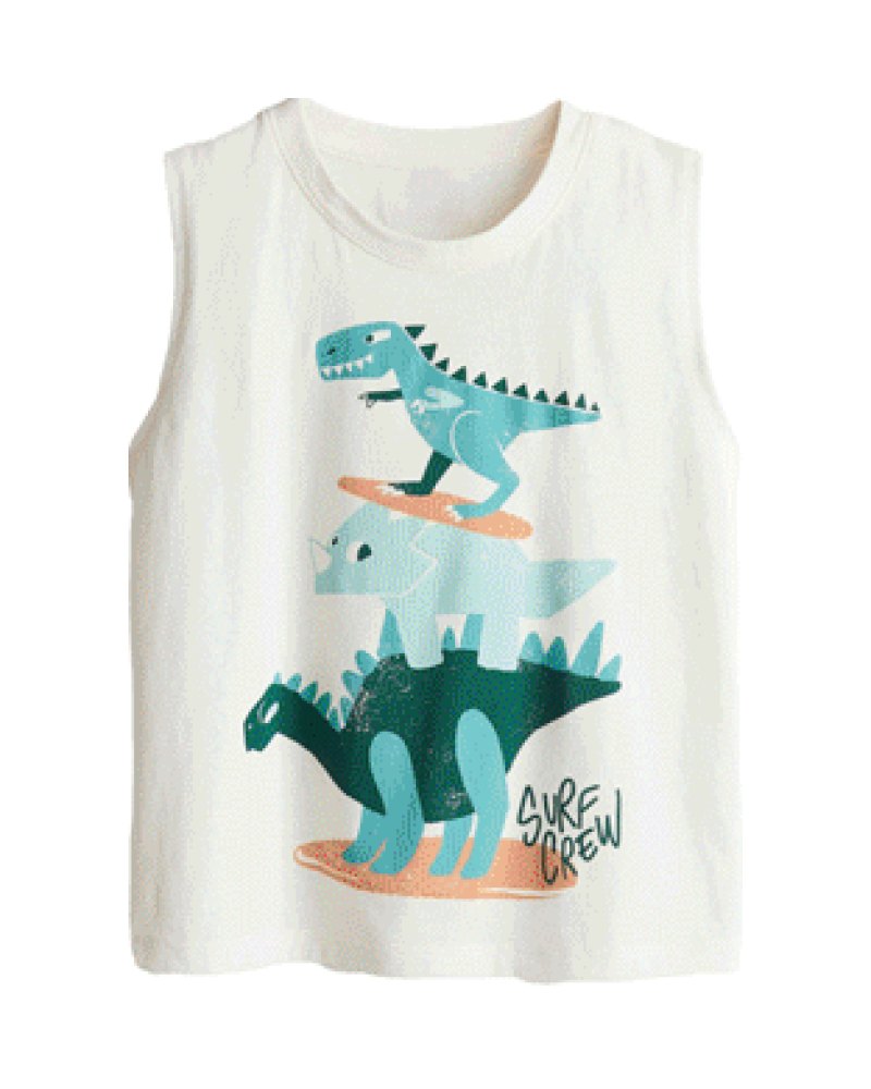 Boys' Cotton Crew Neck T-Shirt
