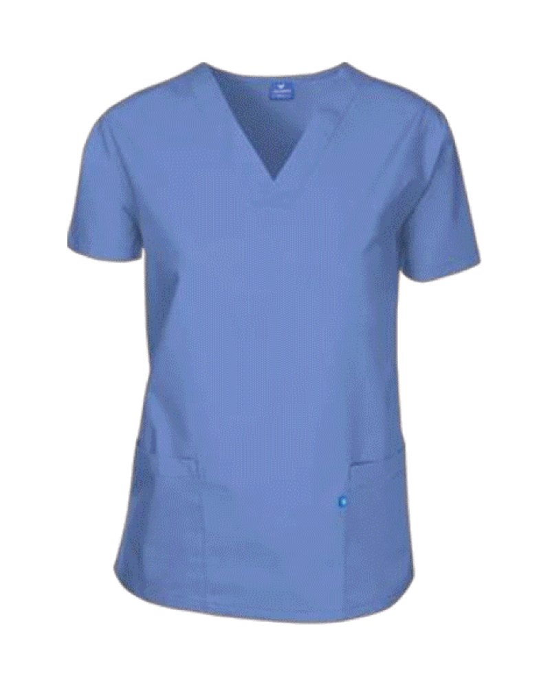 Hotel Housekeeping Dress